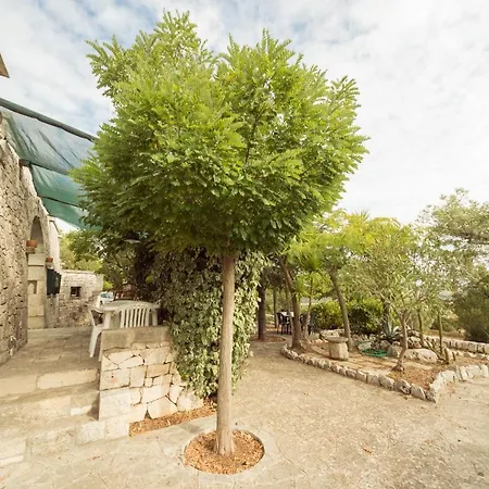 Trulli Girasoli E Viole Cocolicchio Exterior photo